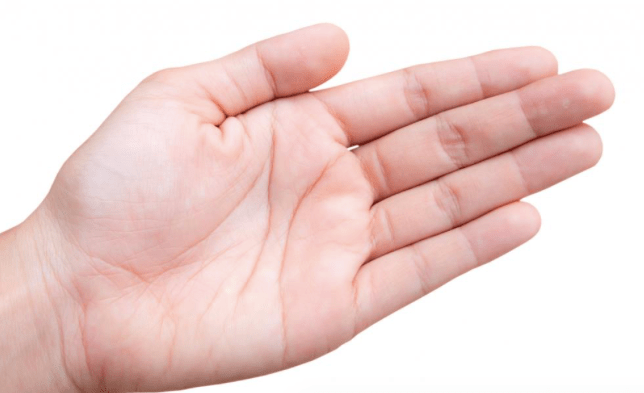 Screen Shot 2019-01-02 at 5.19.14 PM.png